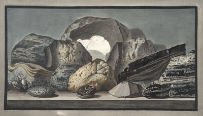 Vitrifications et autres productions volcaniques, Planche LII, de 